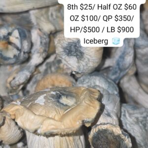 ICEBURG SHROOMS
