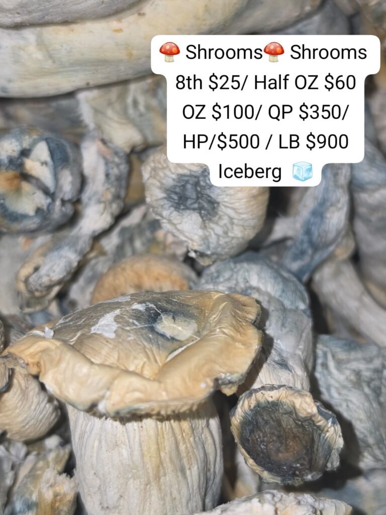 ICEBURG SHROOMS
